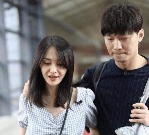 娱乐圈吃瓜定律是什么,吃瓜定律背后的真相与启示