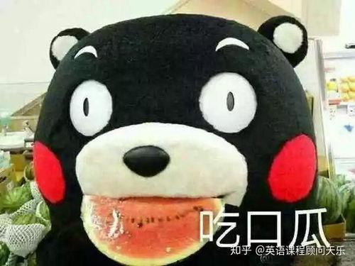 吃瓜群众英文热词的解释,Unveiling the Buzz: Decoding the English Vocabulary of Gossipy Spectators